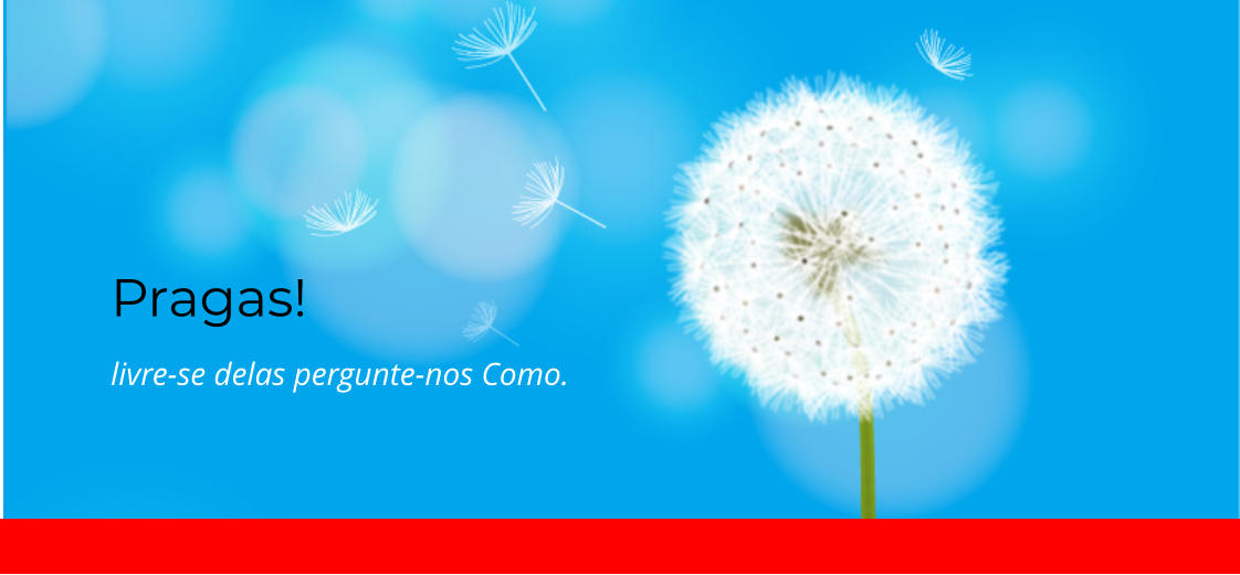 Pragas! livre-se delas pergunte-nos Como.